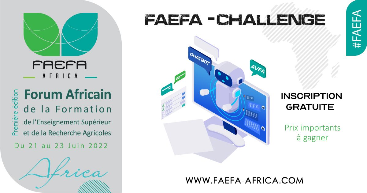 FAEFA-CHALLENGE 2022